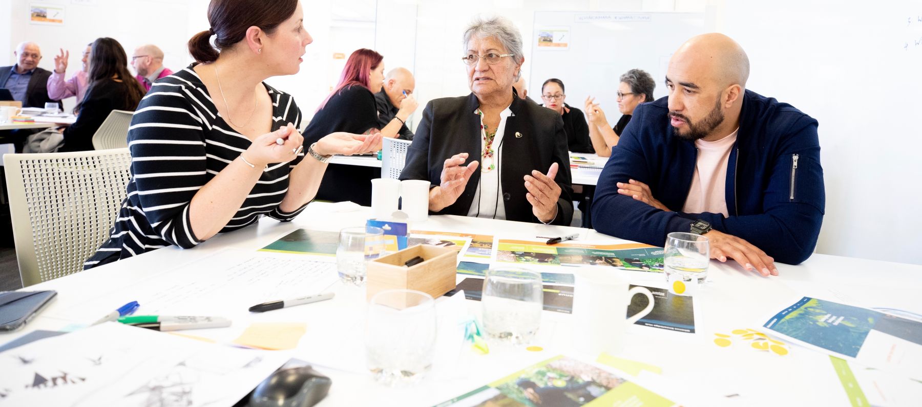 ThinkPlace researchers work on the Whenua Knowledge online hub