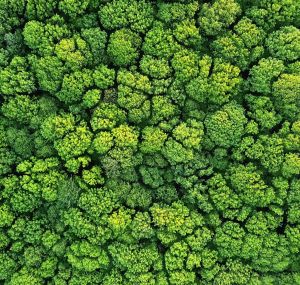 ThinkPlace is a signatory to the United Nations Global Compact