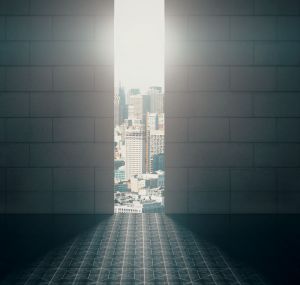 Self-imposed constraints are our best hope to transform ourselves and collectively transform our world